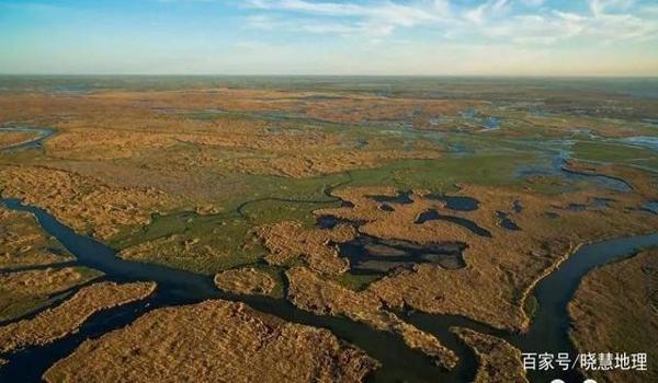 三角洲5修改器全版(有没有三角洲5的全功能修改器?) 三角洲5修改器全版(有没有三角洲5的全功能修改器?)